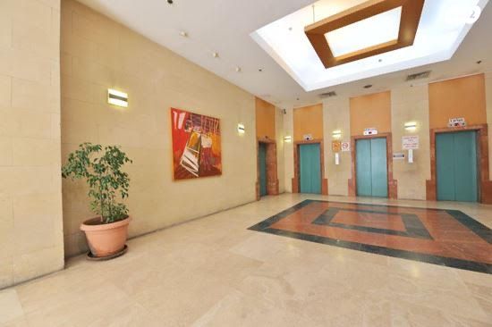 דוד בן גוריון 