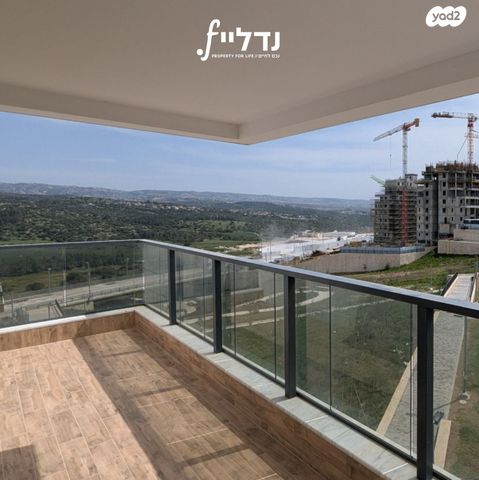 רועי קליין 31