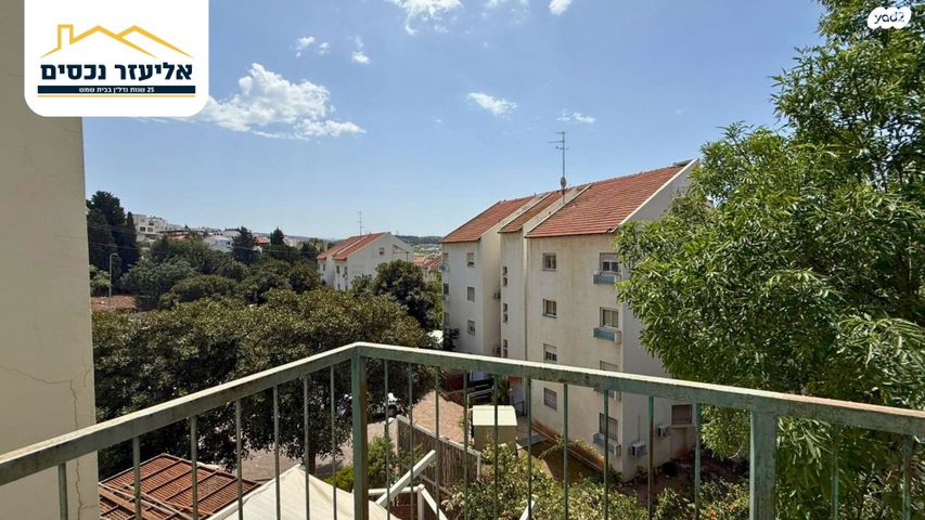 קרית אריה / שיינפלד