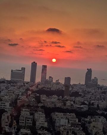 דירה להשכרה בתל אביב יפו (תיווך) — 3
