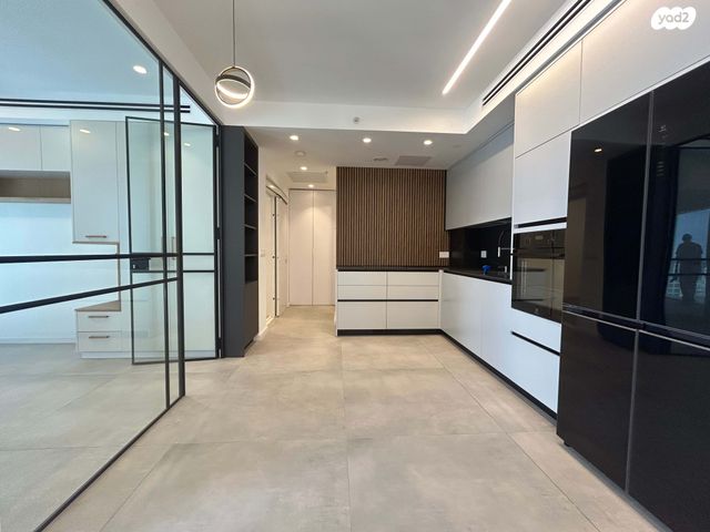 ליאונרדו דה וינצ'י 