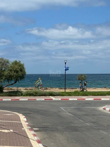 ז'בוטינסקי 