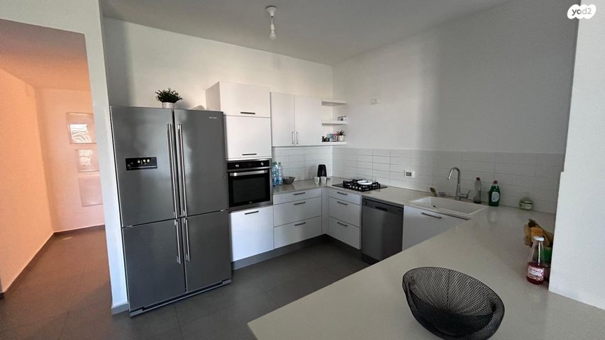 אריק איינשטיין 