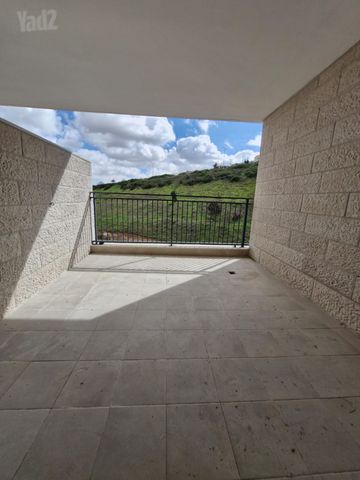 שמעון מישורי 
