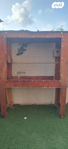 תמונת מודעה - חיות מחמד