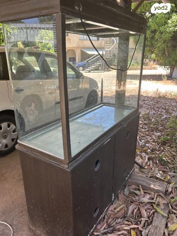 תמונת מודעה - חיות מחמד