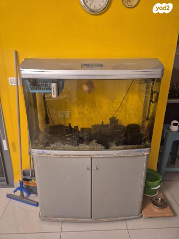 תמונת מודעה - חיות מחמד