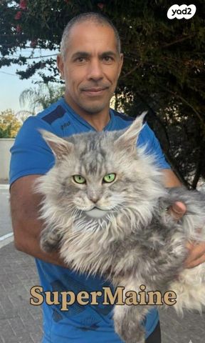 תמונת מודעה - חיות מחמד