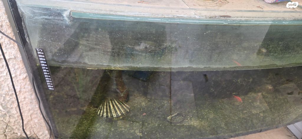 תמונת מודעה - חיות מחמד