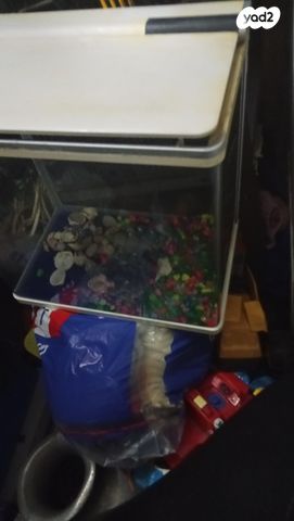 תמונת מודעה - חיות מחמד