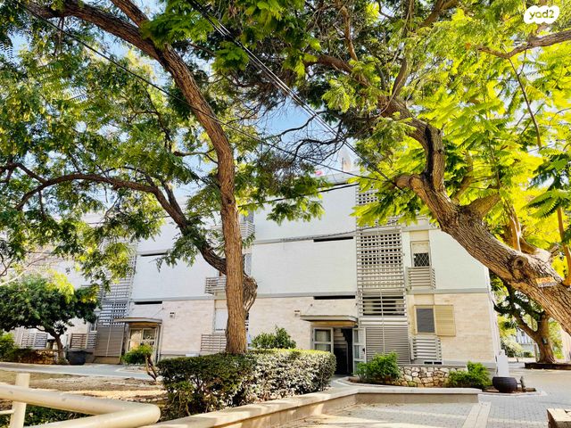 עליזה יאנסן 668