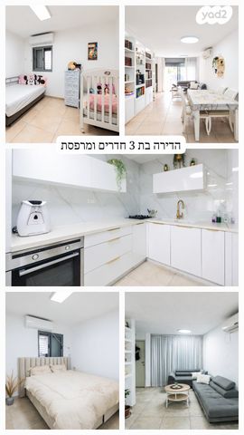 שלמה בן יוסף 13