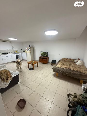 ארלוזורוב 156