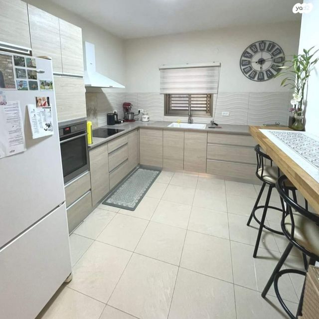 מאיר שפירא 7