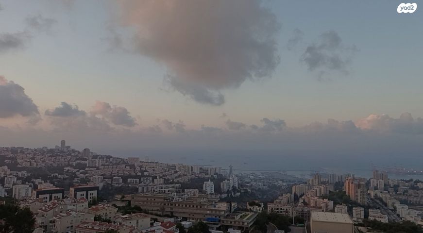 עמירם חרלף 8