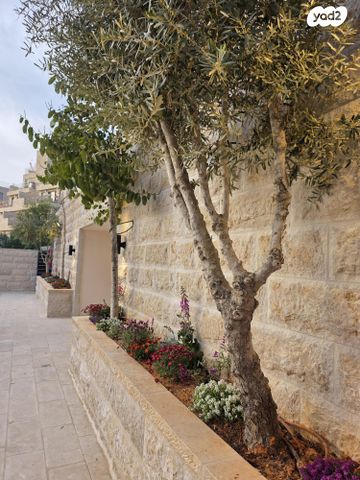 אברהם ניסן 12