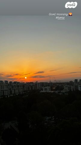 רועי קליין 6