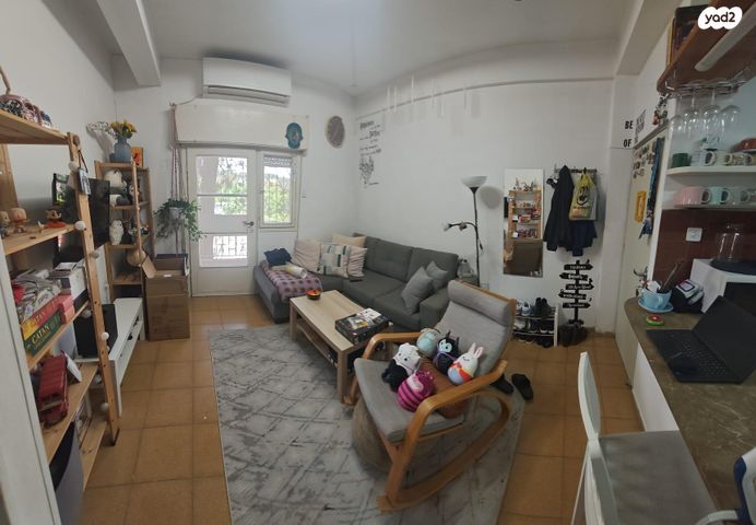 דוד שמעוני 30