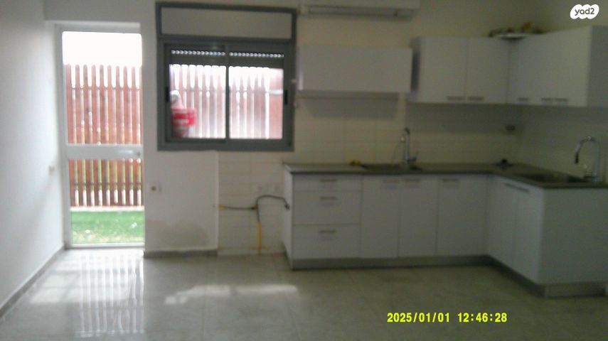 אדמורי ויז'ניץ 13