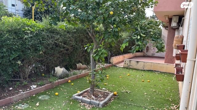 ארלוזורוב 86