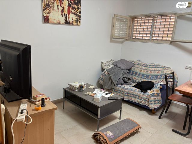 אלכסנדרוני 35