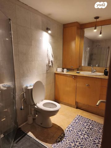 אחים ליטוינסקי 2