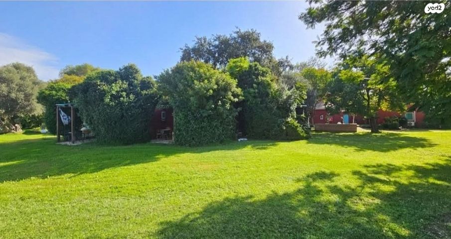 שביל עצי התות 1