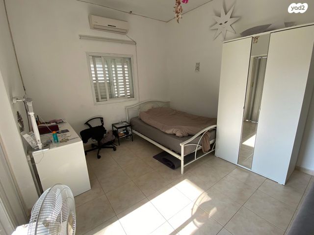 אלכסנדר ינאי 13