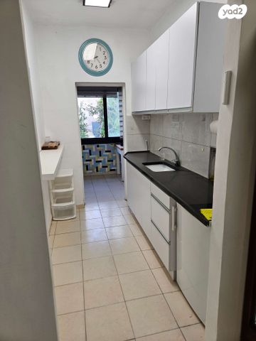 דב בר בורוכוב 11