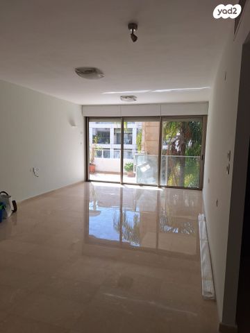 אלכסנדר סשה ארגוב 19