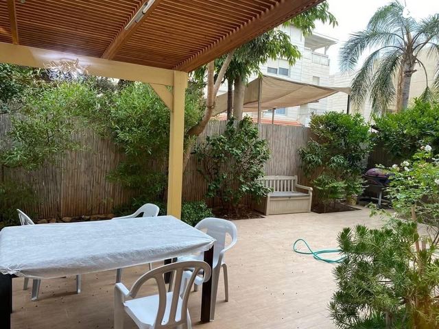 אירוס הארגמן 