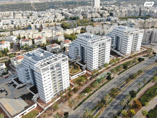 אלישע הנביא 