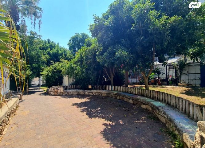 קיבוץ גלויות 59