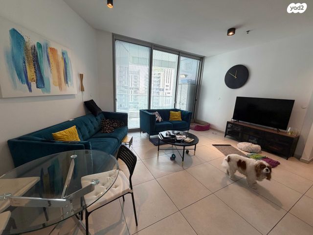 גרציאני יצחק 6