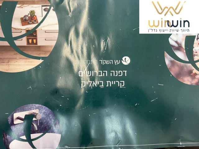 הברושים 