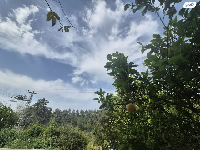 בית פרטי/ קוטג'