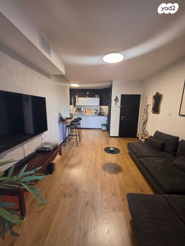 דוד וולפסון 