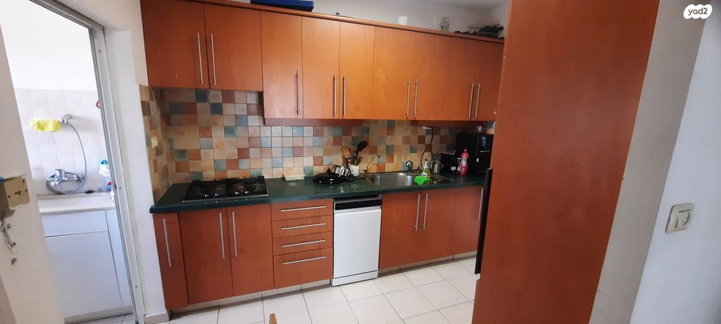 אריה בן אליעזר 