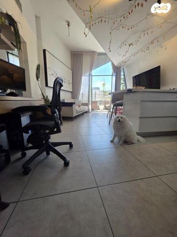 יהודה הלוי 10