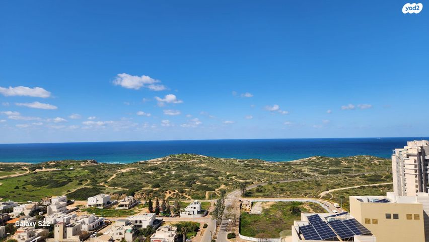 ארזי הלבנון 18