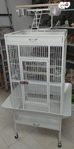 תמונת מודעה - חיות מחמד