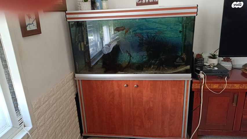 תמונת מודעה - חיות מחמד