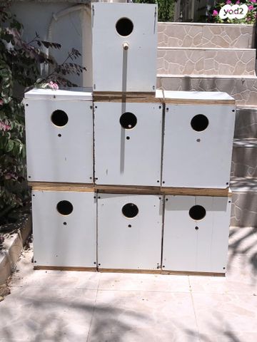 תמונת מודעה - חיות מחמד