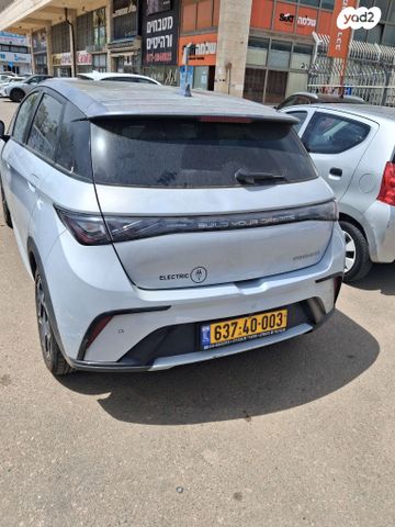 מודעת רכב בי.ווי.די דולפין