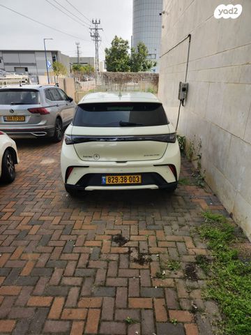 מודעת רכב בי.ווי.די דולפין