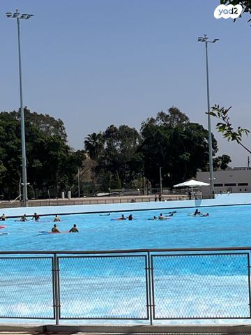 האחים אל כוויתי 5