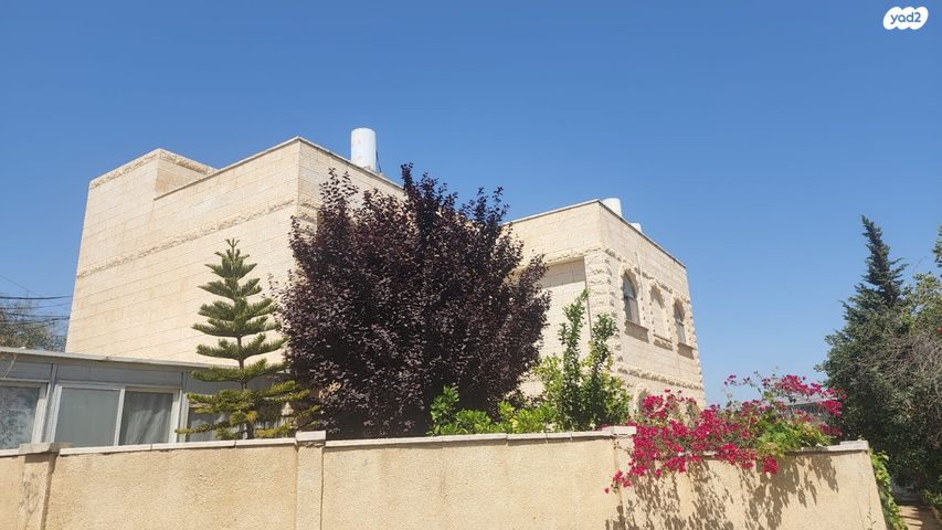 האישה החכמה 1