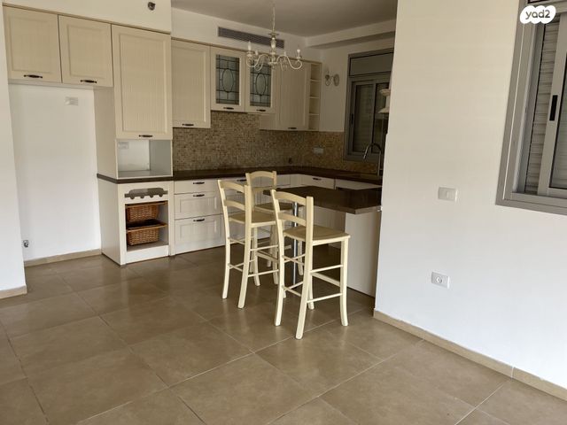 רפאל איתן 28