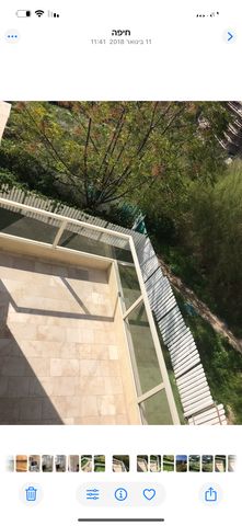 שדרות ודג'ווד 12