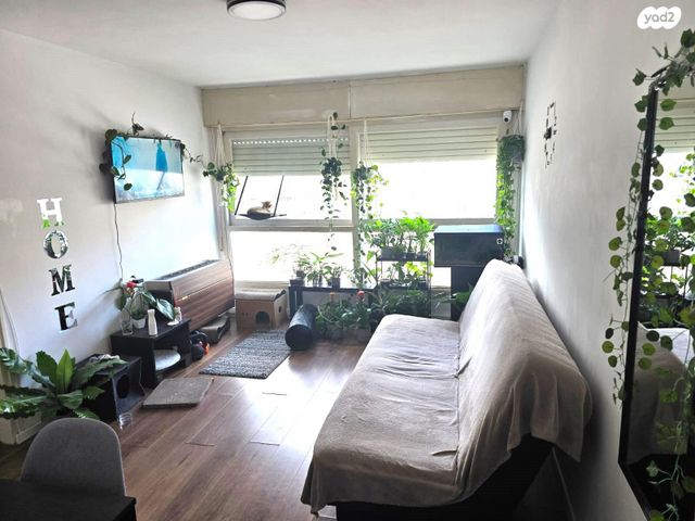 פרץ מרקיש 16